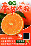 奉节脐橙