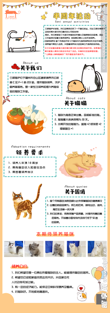 猫咪收养咖啡馆宣传长图