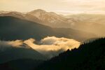 山