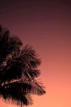 夕阳