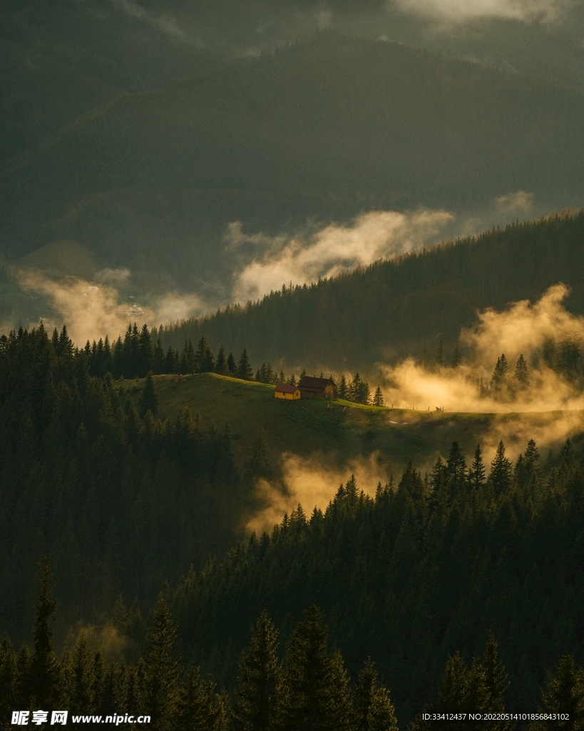 山