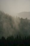 山