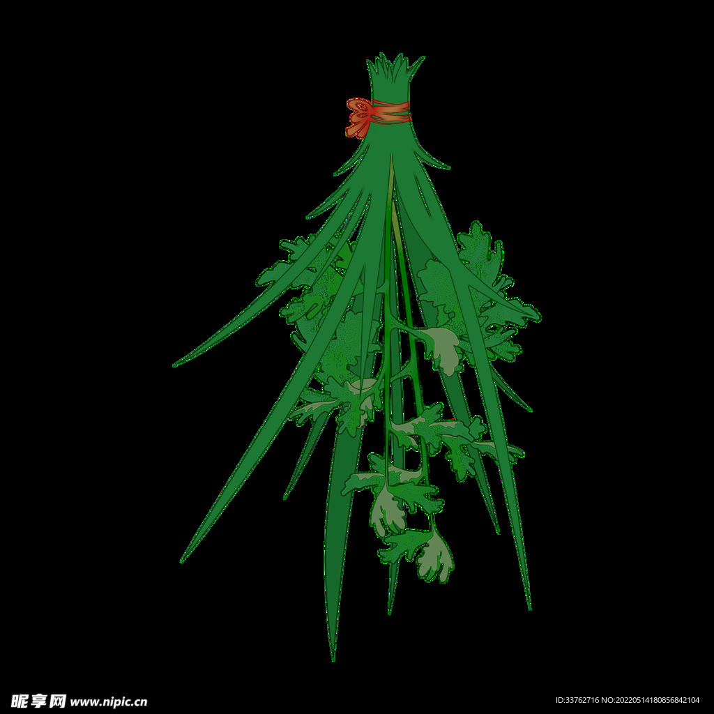  端午节艾草元素png 