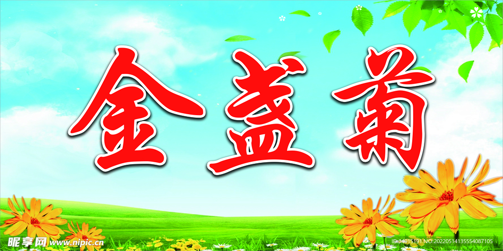 金盏菊