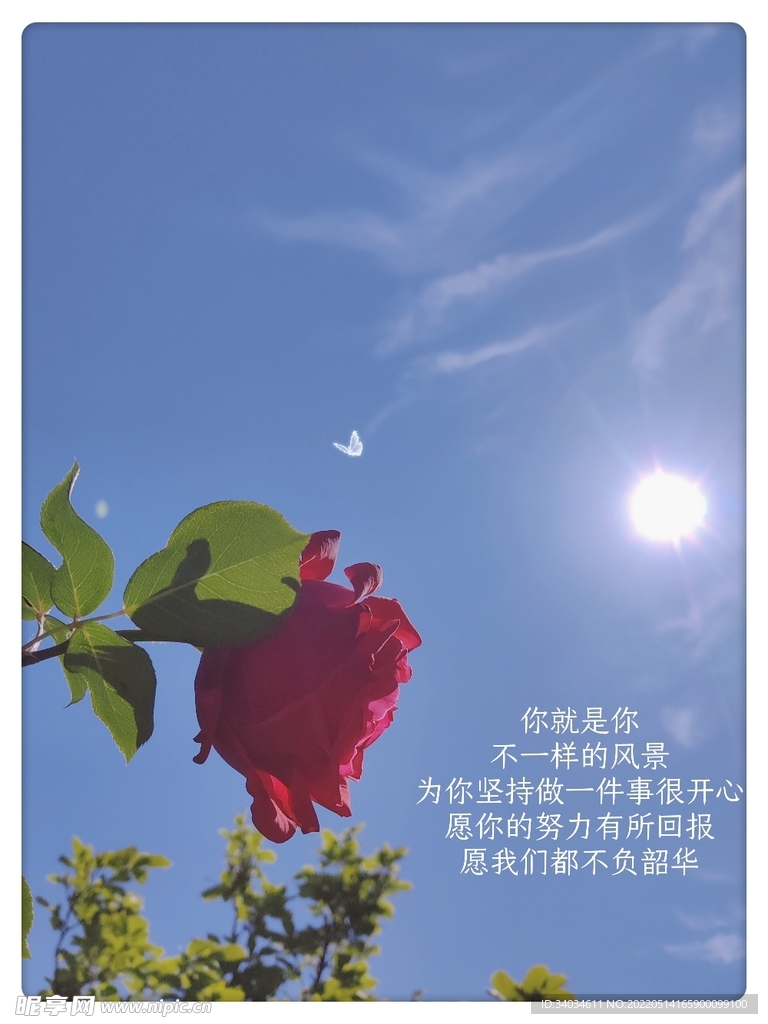 唯美风景