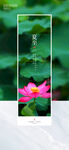 节气