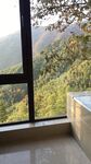 莫干山窗外风景
