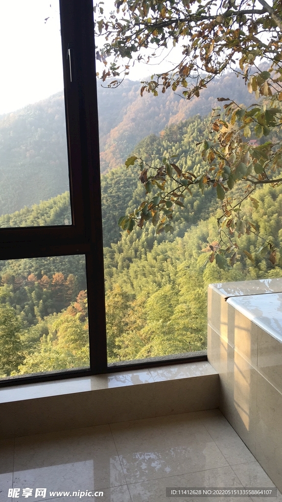 莫干山窗外风景