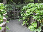 公园围栏
