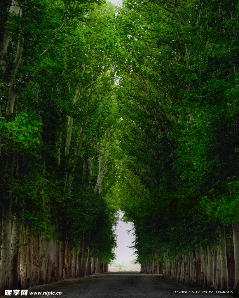 树