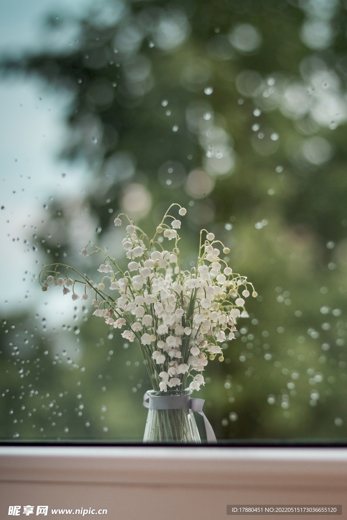 花卉