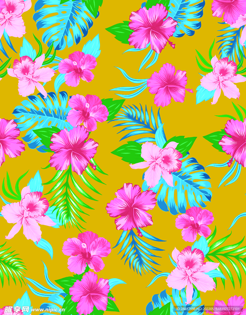 热带花