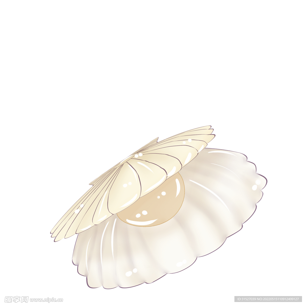 贝壳插画元素  