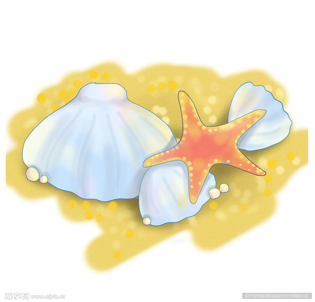 贝壳插画元素  