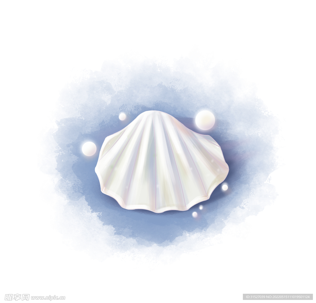 梦幻白色贝壳插画