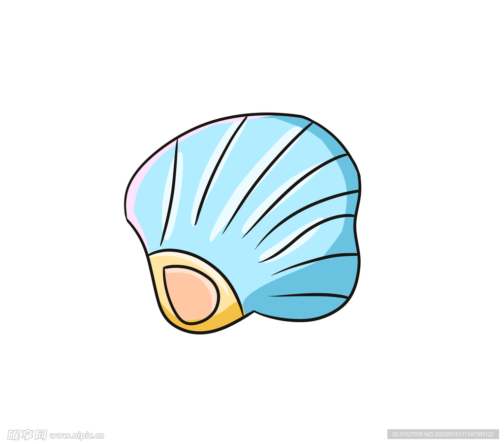 海洋生物贝壳插画 