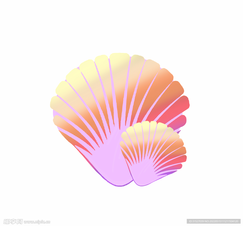贝壳插画元素  