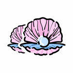 贝壳水彩插图 