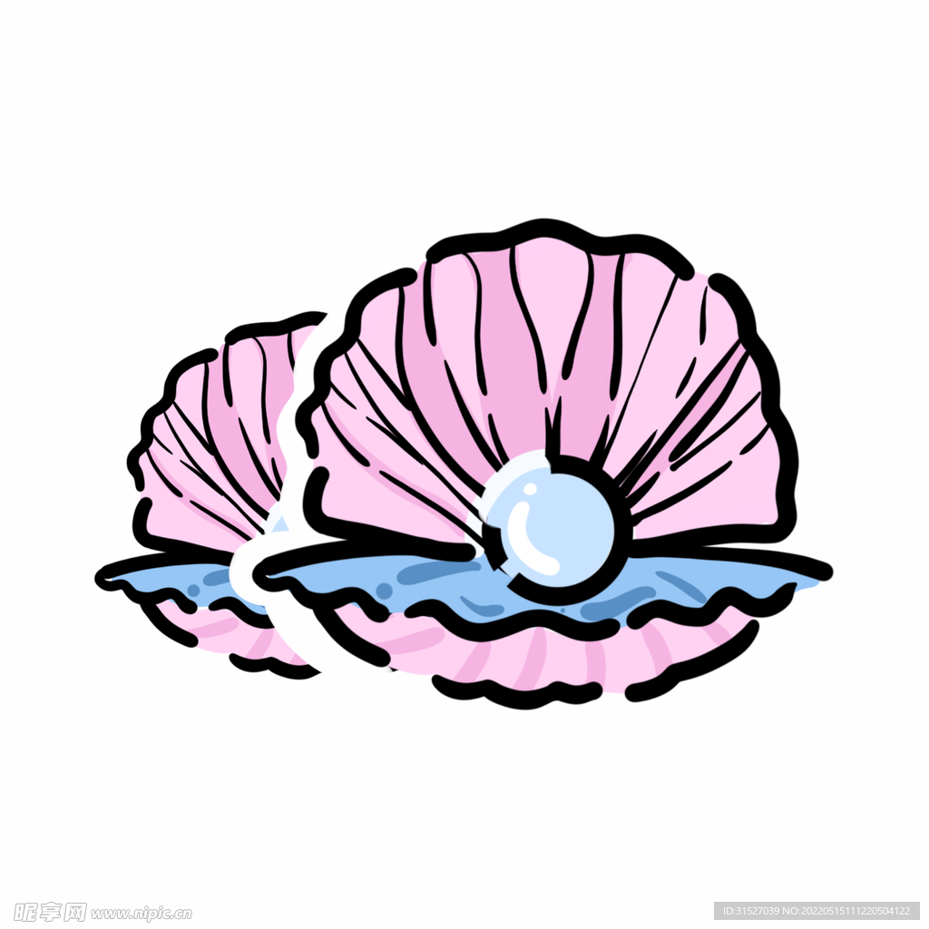 贝壳水彩插图 