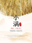 中国风二十四节气小满海报