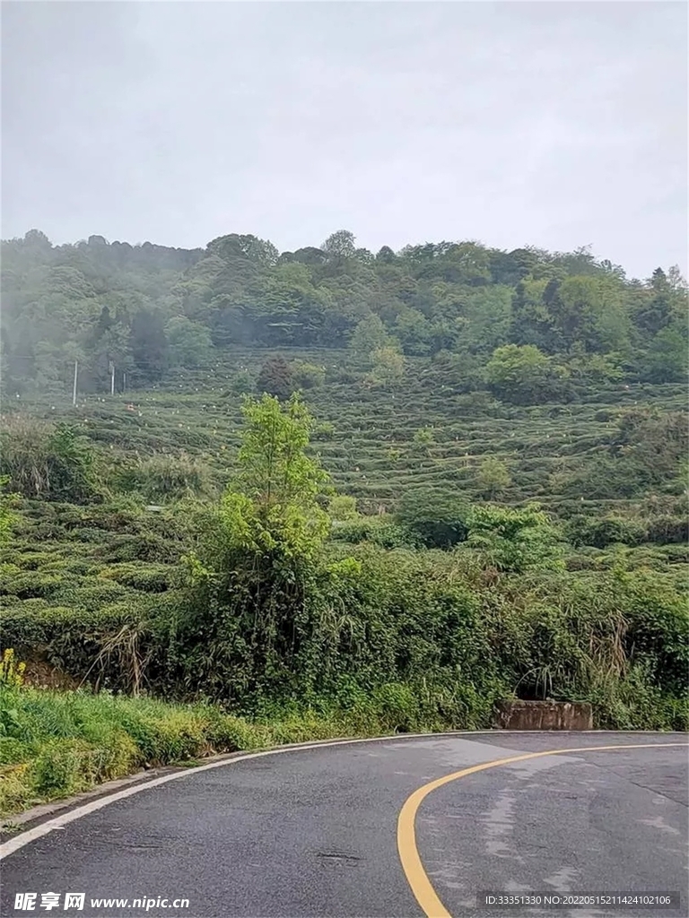 泥巴坨森林公园 