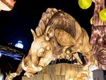 自贡灯展
