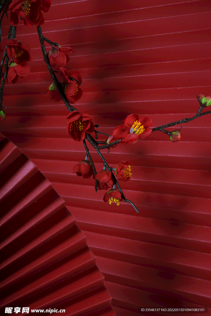 红色折扇梅花背景