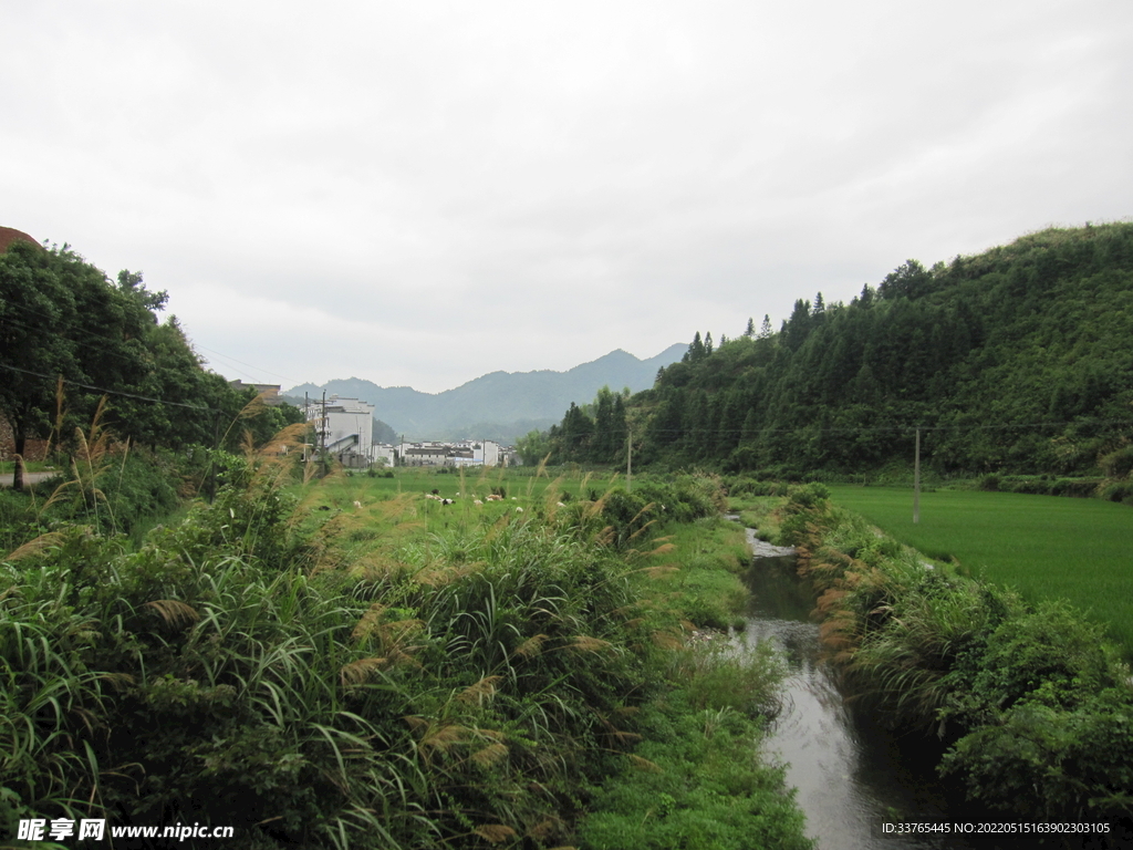 田园风景