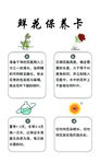 鲜花保养卡