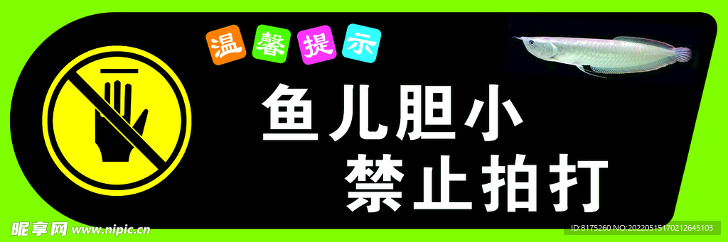 鱼儿胆小 禁止拍打