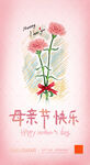 康乃馨