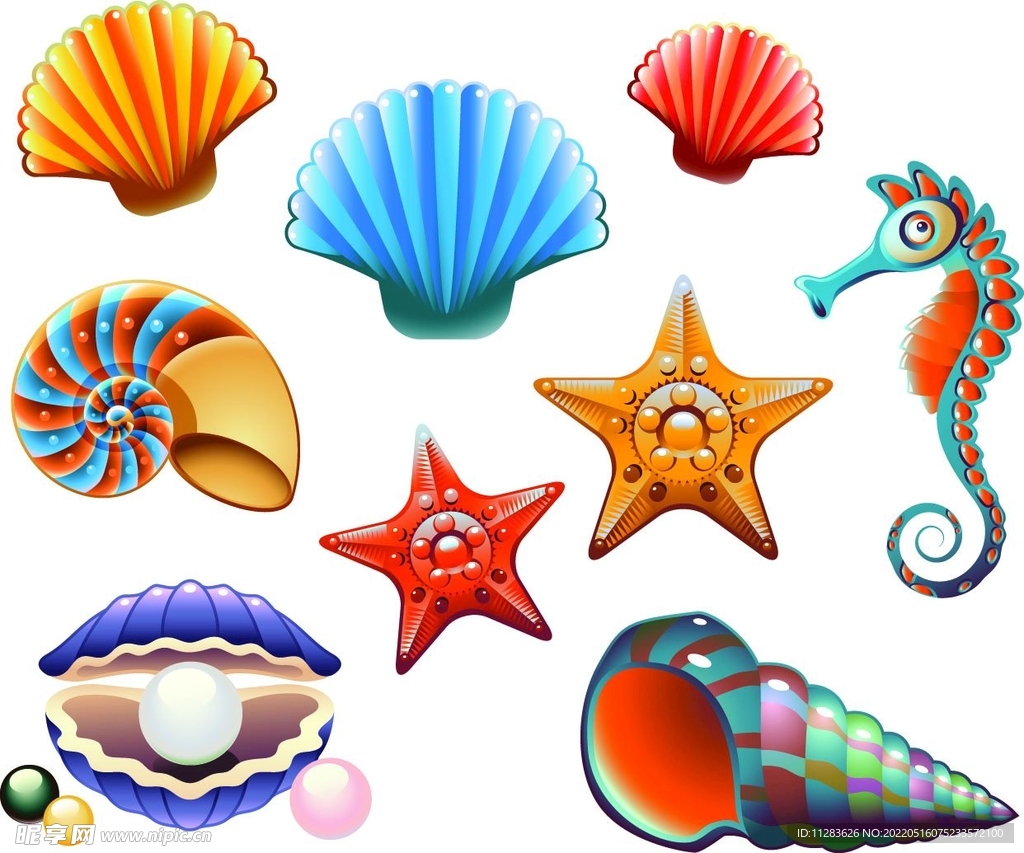 贝壳海螺珍珠矢量素材