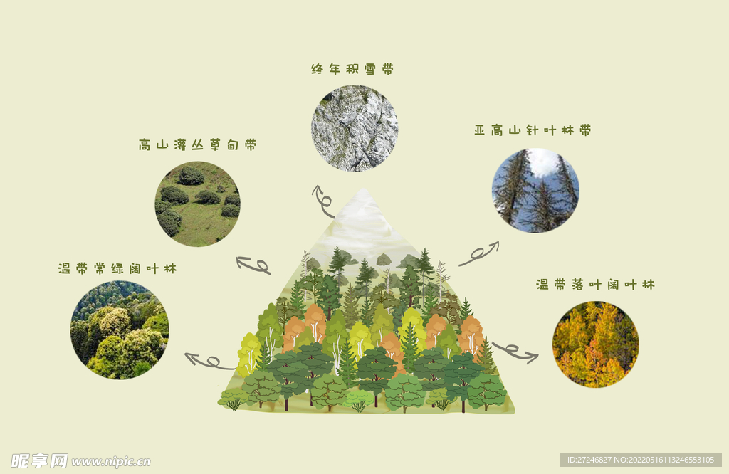 山