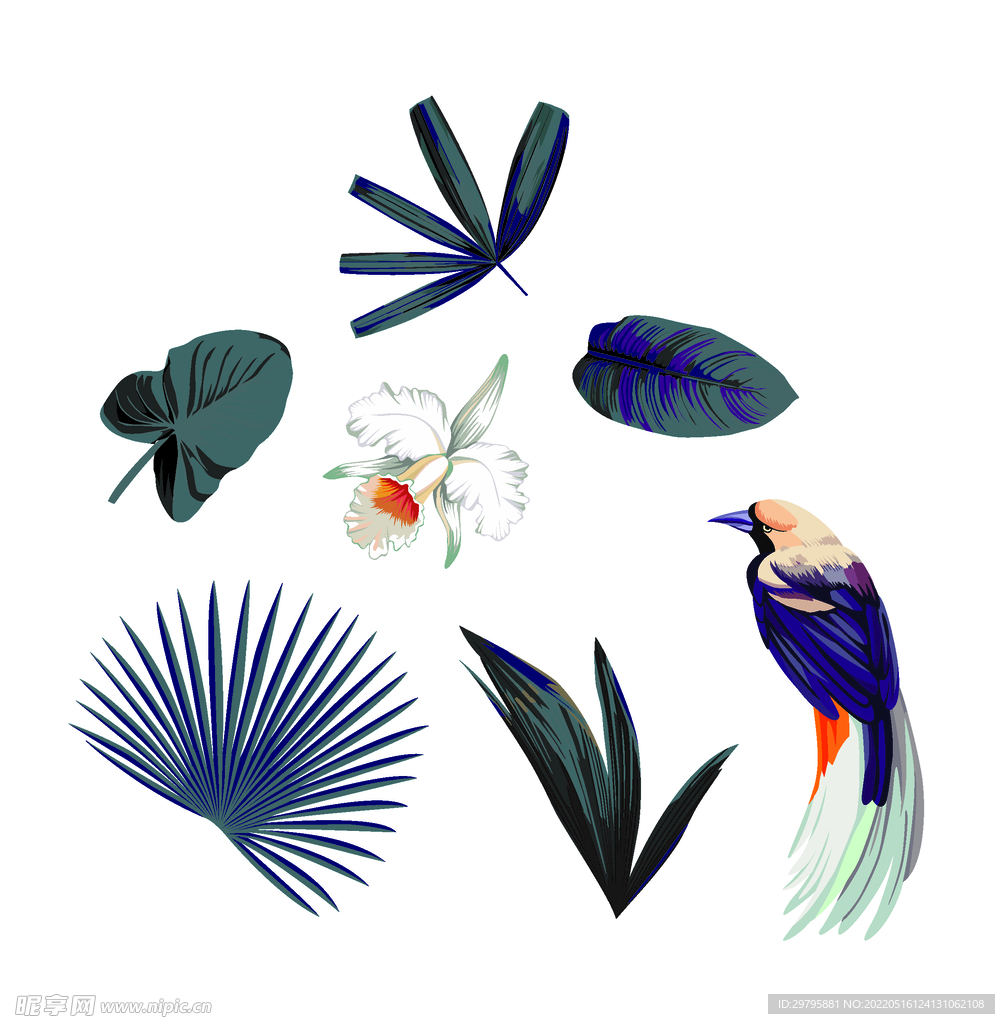 热带叶子鸟