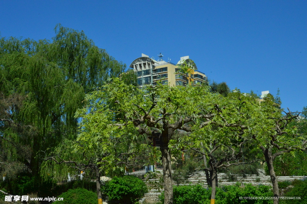 园林风景 
