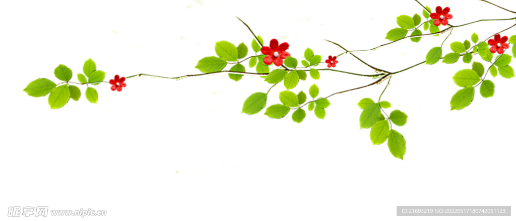 清新小花