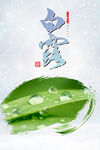 节气白鹭