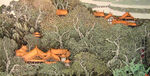 林荫楼阁图