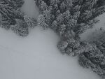 雪