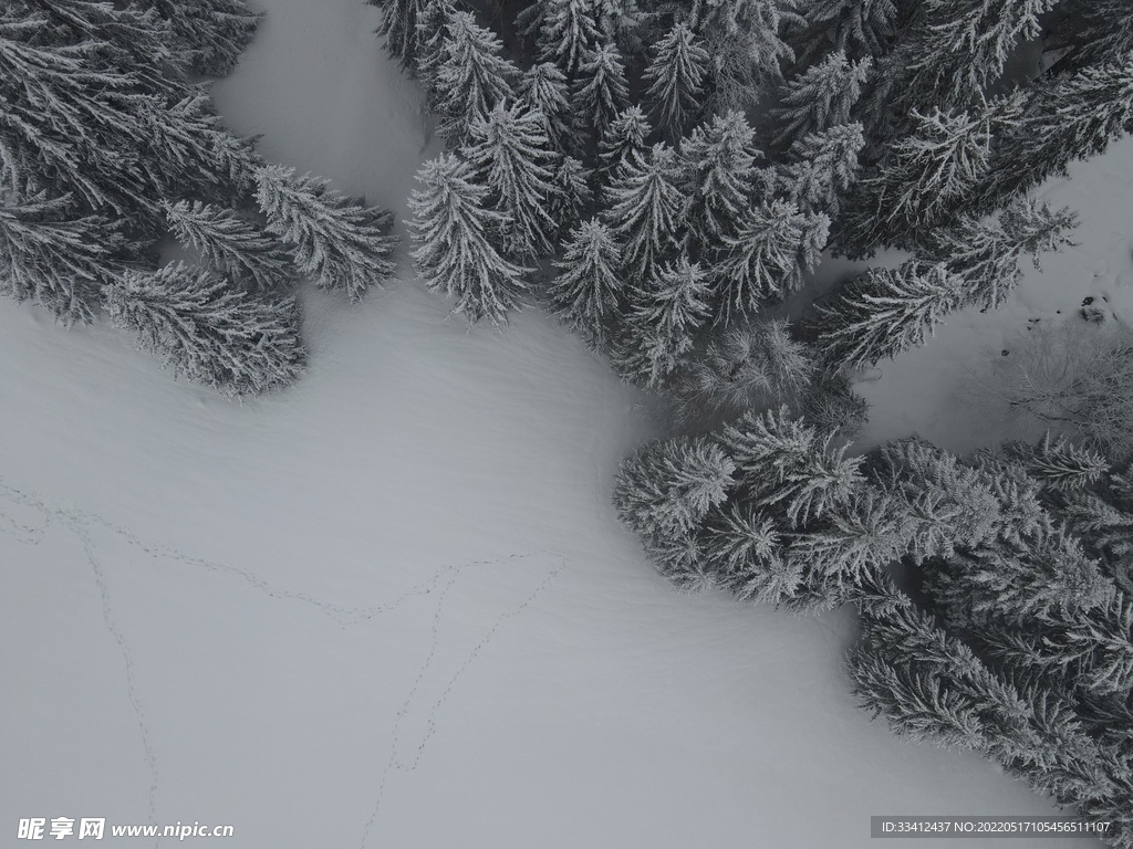 雪