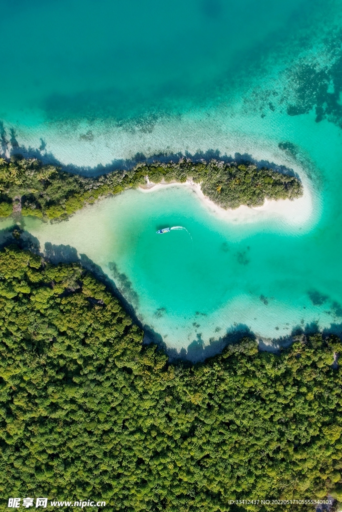 大海