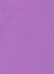 紫色纸张