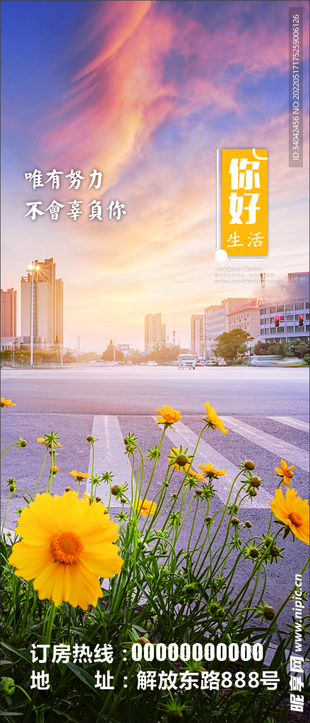街道 黄色花