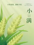 小满