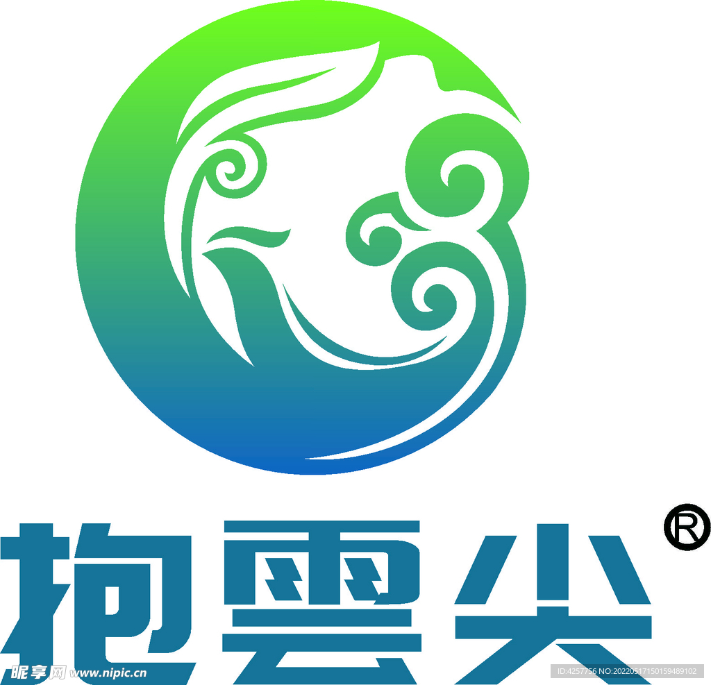 抱云尖茶艺