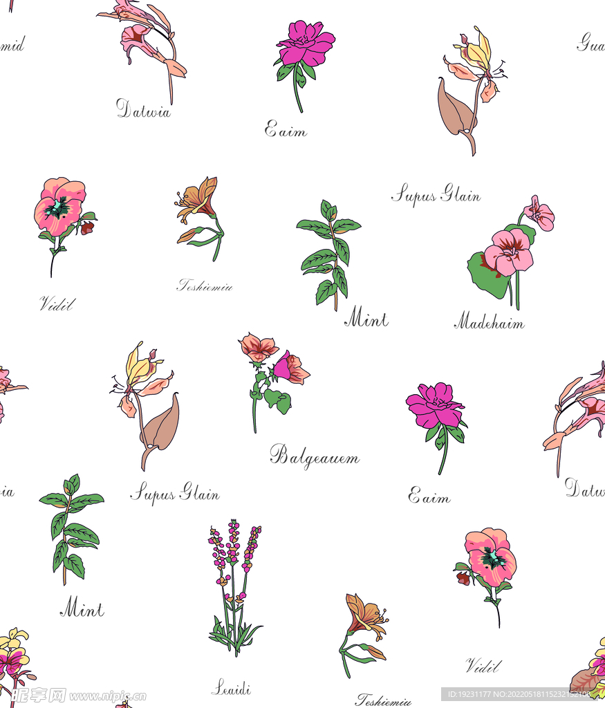 字母花