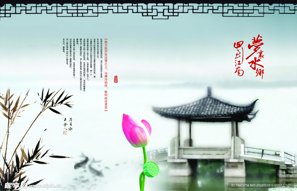 荷花