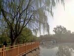 人工湖一角
