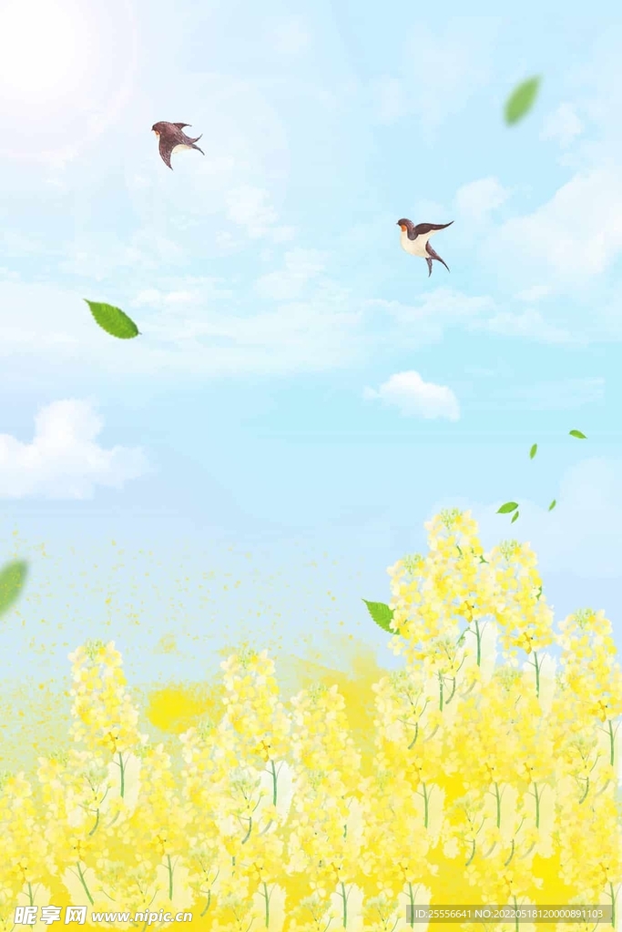绿色背景