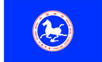 中国旅游旗